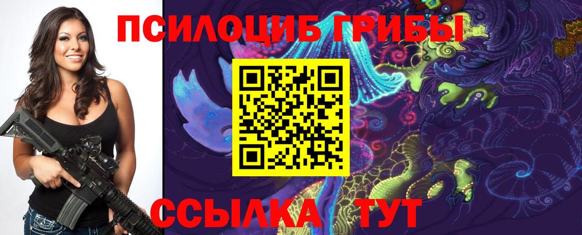 Галлюциногенные грибы Cubensis Избербаш