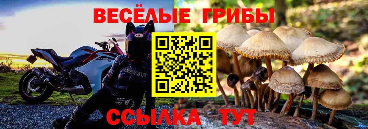 Галлюциногенные грибы GOLDEN TEACHER  Псилоцибиновые грибы ЛСД  где продают   Вход с VPN  Избербаш 